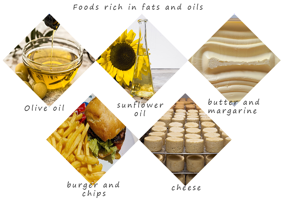 foods which contain a large proportion of fats and oils